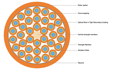 Indoor Breakout Cable 36F